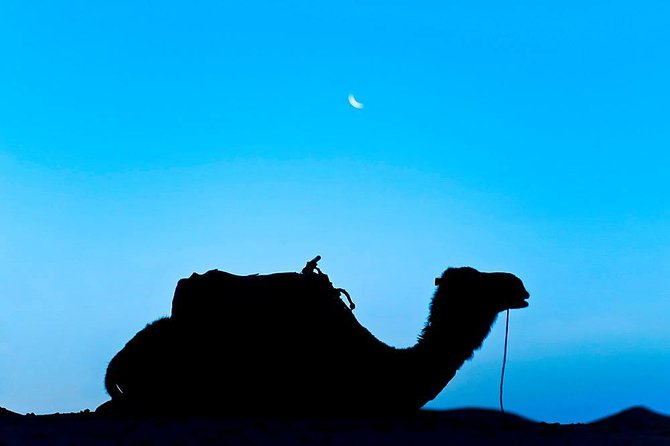 4 Days 3 Nights Tour From Marrakech End up in Marrakech via Merzouga Desert - Health and Accessibility