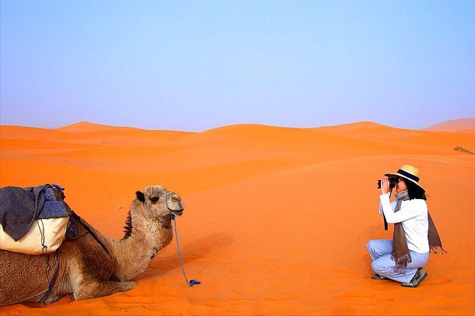 4 Days 3 Nights Tour From Marrakech End up in Marrakech via Merzouga Desert - Pricing and Reviews