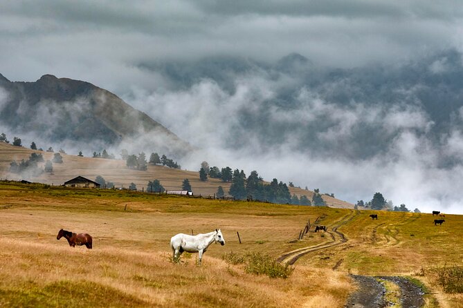 4 Days 3 Nights Tour to Tusheti With Hiikes - About Your Stay