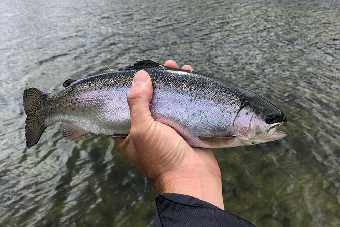 4 Days 3 Nights Trout Fly Fishing Trip in the Andes of Peru - Exploring the Andes Landscape