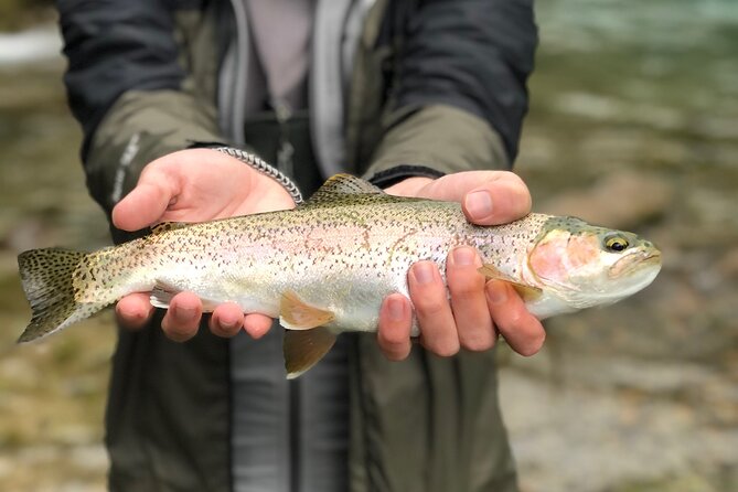 4 Days 3 Nights Trout Fly Fishing Trip in the Andes of Peru - Cancellation and Booking Information