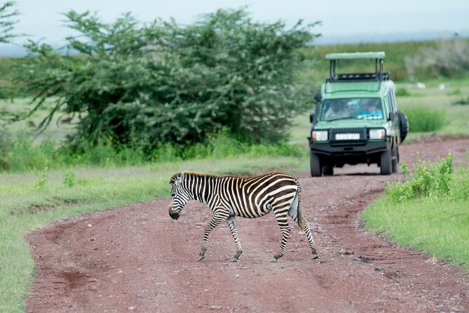 4 Days Adventure Camping Safari - Safari Guide and Vehicle