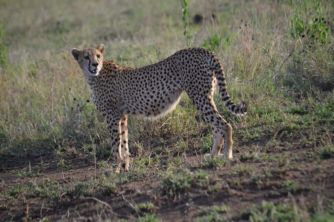 4 Days Adventure Camping Safari - Meeting and Pickup