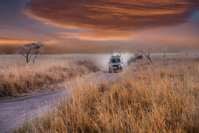 4 Days Adventure Camping Safari - Accessibility and Health Considerations