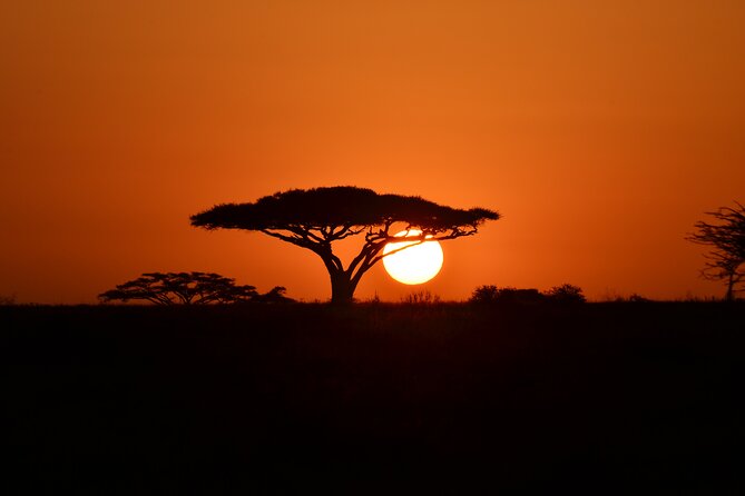 4 Days Adventure Camping Safari - Booking and Cancellation