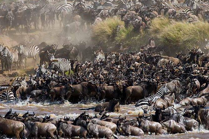 4-Days Adventure Camping Safari to Tarangire, Serengeti & Ngorongoro - Intimate Group Size Experience