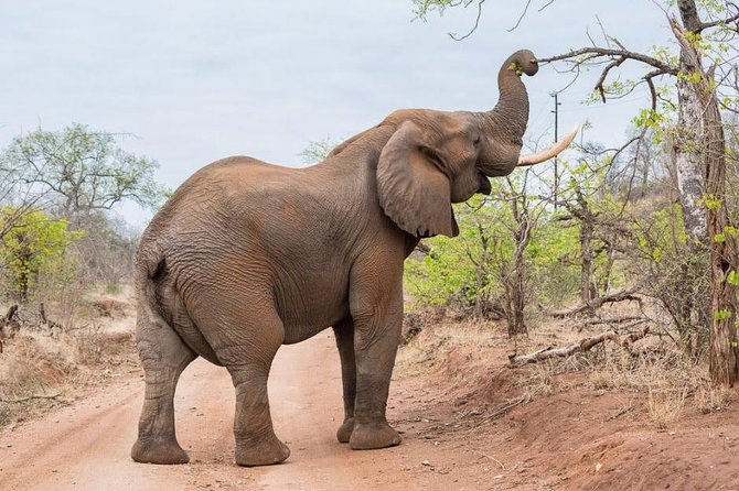 4-Days Adventure Camping Safari to Tarangire, Serengeti & Ngorongoro - Accommodation and Meals Included