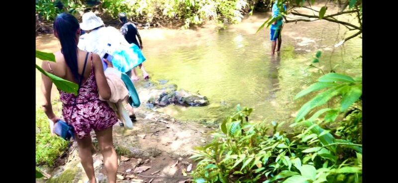 4 Days Adventure; Medellin to Nuqui- Whales!!! - Key Points