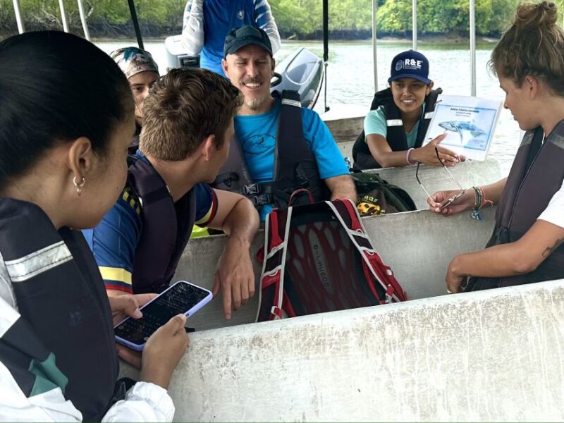 4 Days Adventure; Medellin to Nuqui- Whales!!! - Whale Watching Experience