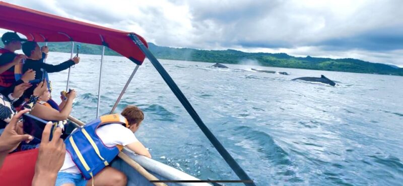 4 Days Adventure; Medellin to Nuqui- Whales!!! - Food, Drinks, and Tips