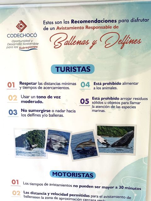 4 Days Adventure; Medellin to Nuqui- Whales!!! - Optional Activities