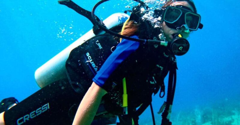 4 Days Adventure; Medellin to San Andres- Intro to Diving - Transport and Accommodation