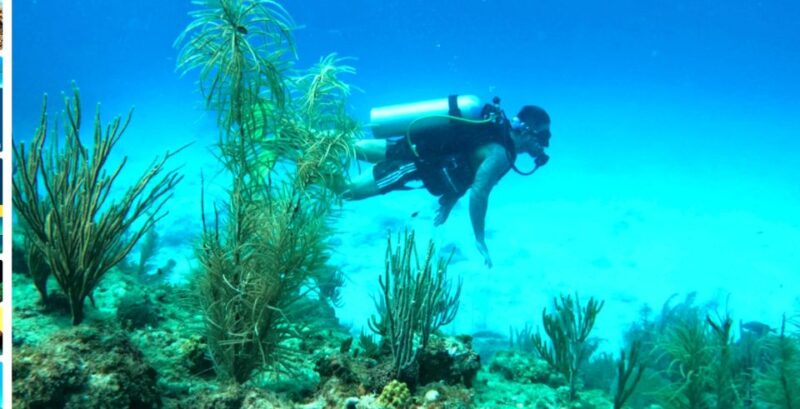 4 Days Adventure; Medellin to San Andres- Intro to Diving - Frequently Asked Questions