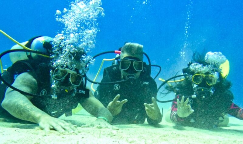4 Days Adventure; Medellin to San Andres- Intro to Diving - Transportation and Guide Services