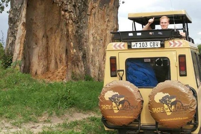 4 Days Affordable Tanzania Budget Safari - Accommodation and Meals