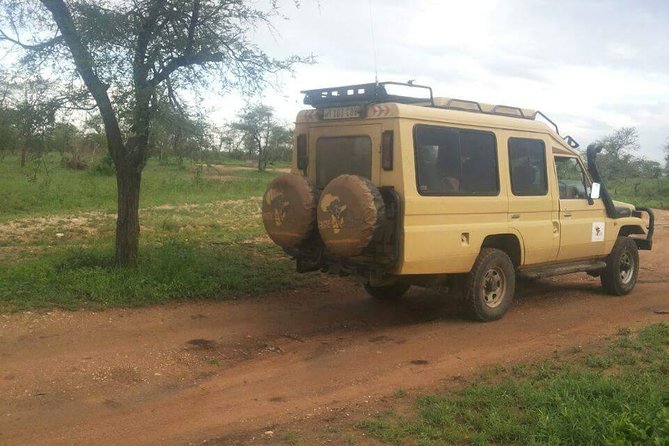 4 Days Affordable Tanzania Budget Safari - Health and Safety Considerations