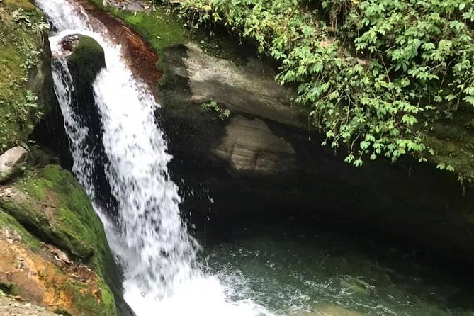 4 Days Amazing Poonhill Trek From Pokhara - Customer Feedback