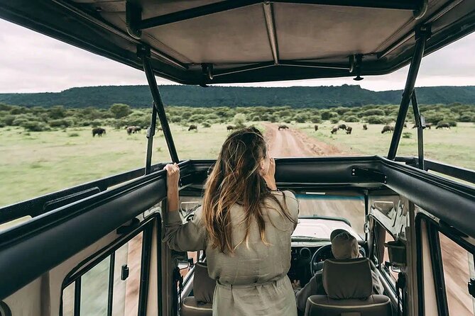 4 Days Awesome Luxury Safari Tarangire Serengeti & Ngorongoro - Safari Experience