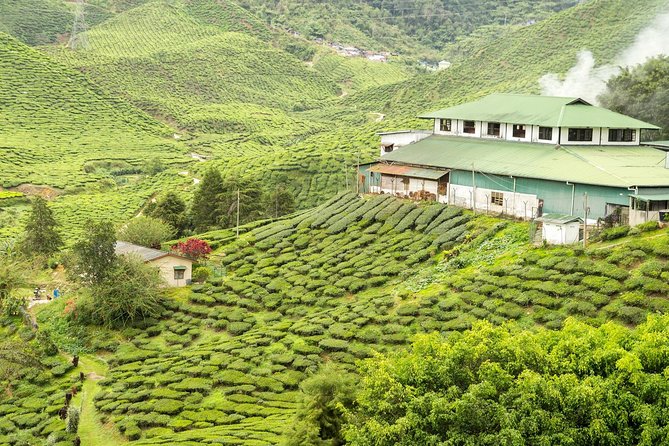 4 Days Best of Kerala Tour With Private Houseboat, Sightseeing & Car - Pickup and Duration