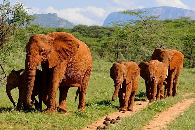 4-Days Best Wildlife Safari: Amboseli, Tsavo West & Tsavo East Private Safari - Accommodation Details
