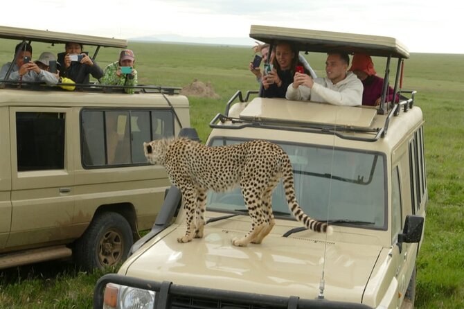 4 Days Big 5 Tour & Cultural Experience - Health Considerations