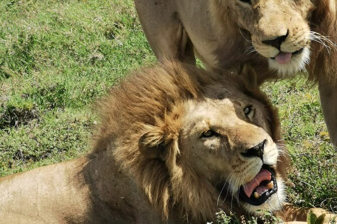 4 Days Big 5 Tour & Cultural Experience - Cultural Experiences