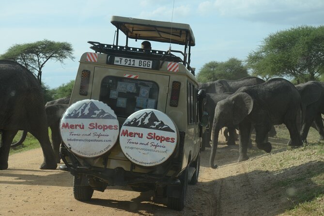 4 Days Big 5 Tour & Cultural Experience - What to Expect