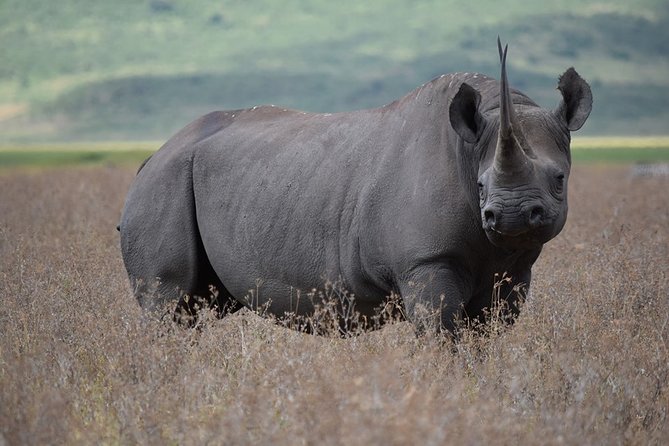 4: Days Big Five Safari - Safari Schedule