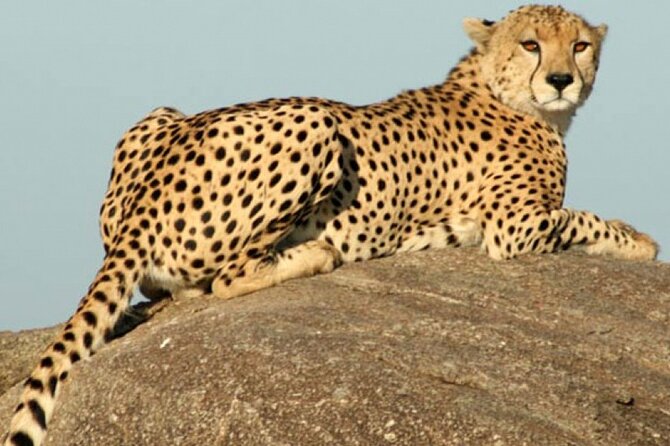 4 Days Camping Safaris - Itinerary and Inclusions