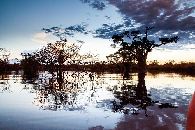 4 Days Cuyabeno Amazon Experience - Day 1: Arrival and River Exploration