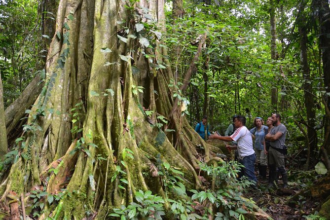 4 Days Cuyabeno Amazon Experience - Inclusions, Exclusions, and Pricing