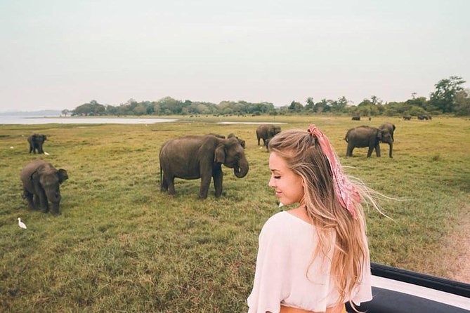 4 Days Essence Of Sri Lanka - Accessibility