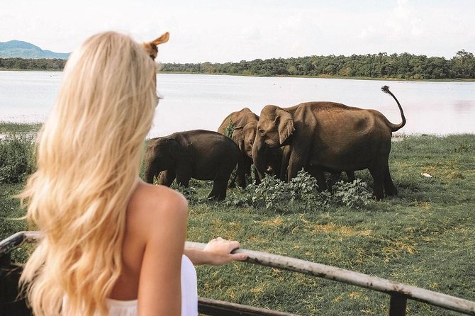 4 Days Essence Of Sri Lanka - Sigiriya Ancient Rock Fortress