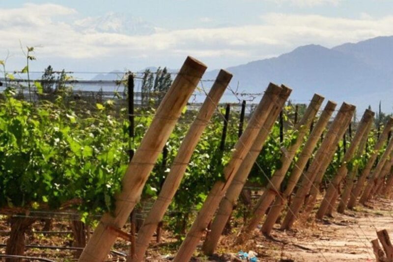 4-Days Essential Mendoza - City, Mountains & Wine! - Day 1 Itinerary