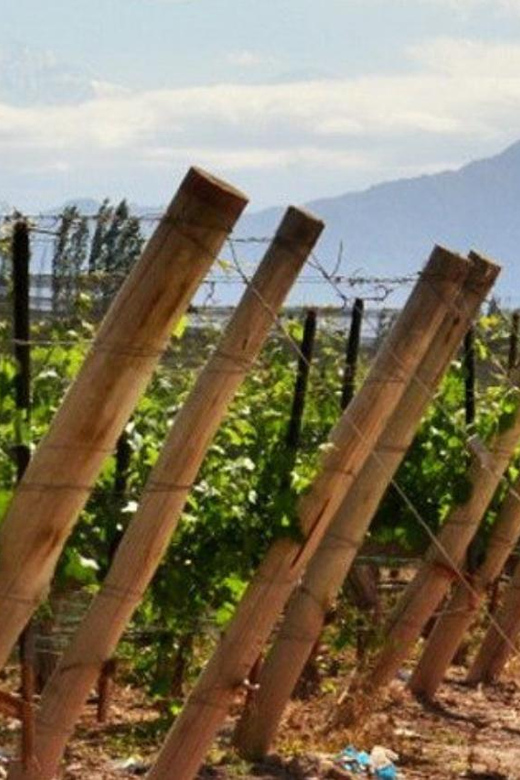 4-Days Essential Mendoza - City, Mountains & Wine! - Day 2 Itinerary