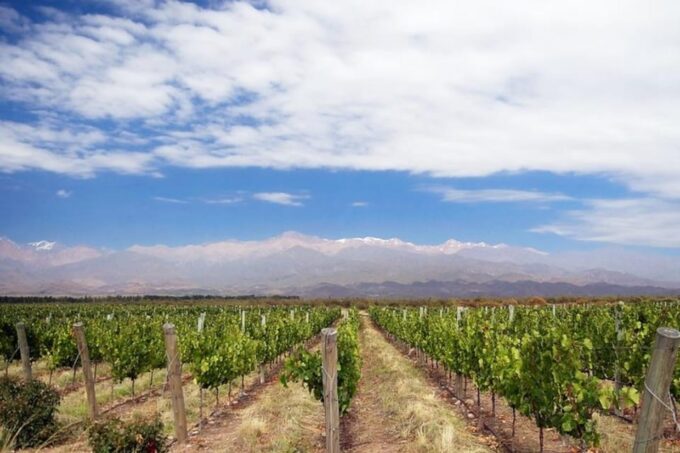 4-Days Essential Mendoza - City, Mountains & Wine! - Accommodation and Inclusions