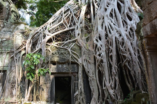 4 Days Expedition From Bangkok to Angkor Wat - Inclusions and Reviews
