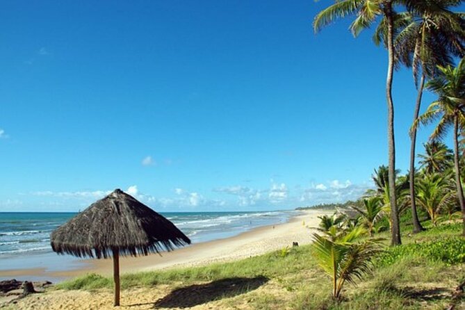 4-Days Experience at Salvador De Bahia, Savour the Cultural Fusion - Brasil - Explore Bahiacafé Hotels Comforts