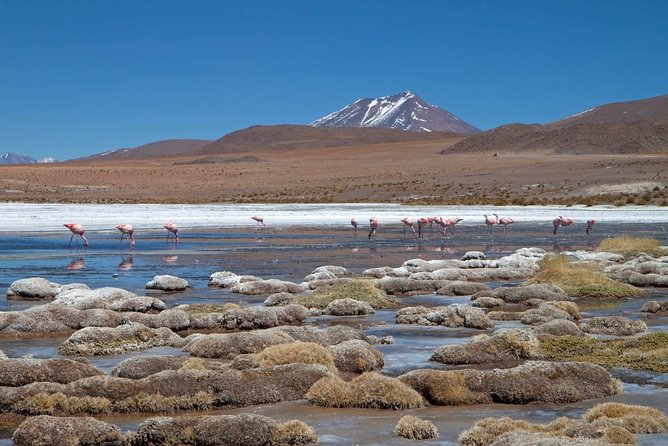 4-Days Experience at Uyuni Salt Flat From San Pedro De Atacama - Inclusions in the Tour Package