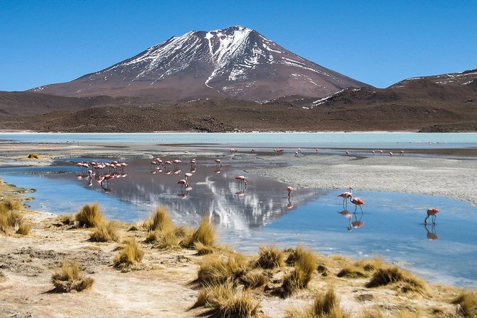 4-Days Experience at Uyuni Salt Flat From San Pedro De Atacama - Pricing and Booking Details