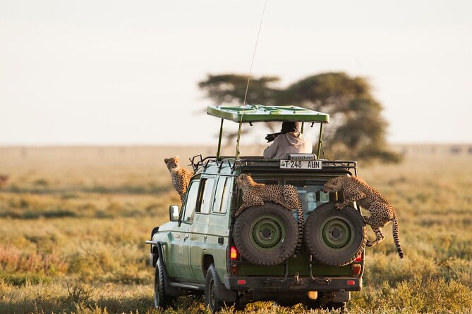 4 Days Experience Big Five in Tarangire, Serengeti & Ngorongoro Safari - Accessibility and Requirements