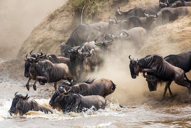 4 Days Experience Big Five in Tarangire, Serengeti & Ngorongoro Safari - Serengeti National Park