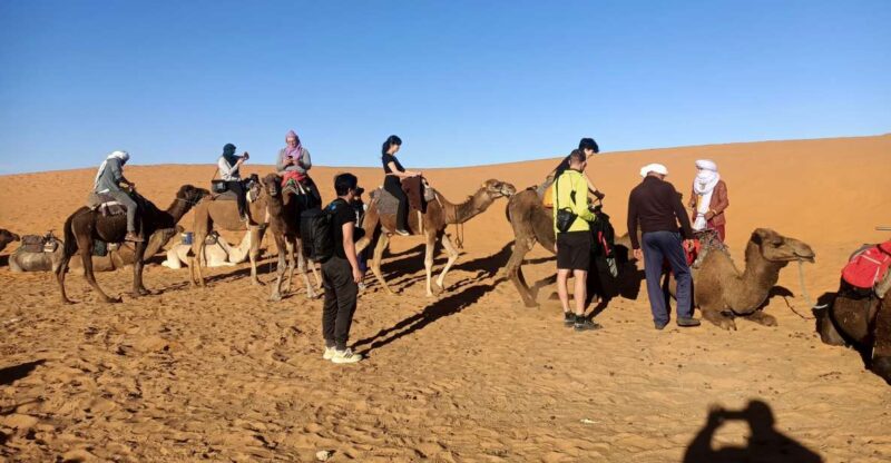 4 Days From Marrakech to Fes via Merzouga Desert - Key Points