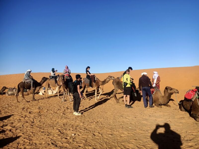 4 Days From Marrakech to Fes via Merzouga Desert - Day 4: Merzouga to Fes