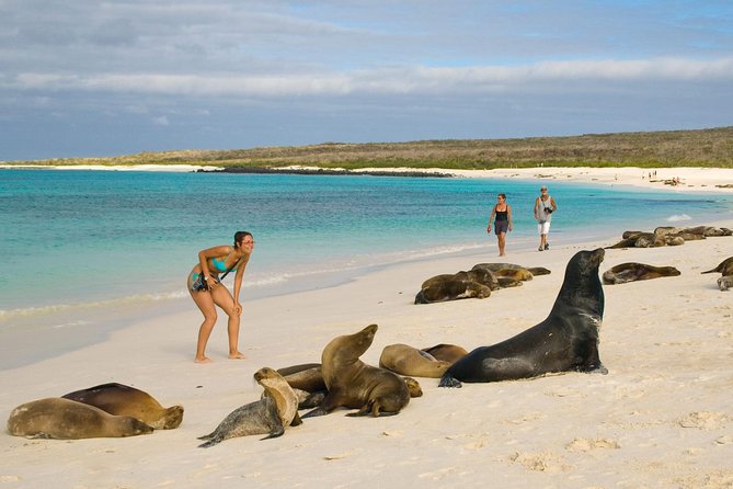 4 Days Galapagos Land Tour - Visiting San Cristobal Island - Accommodations and Meals