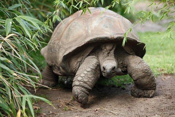 4 Days Galápagos - Total Experience Tour - Key Points