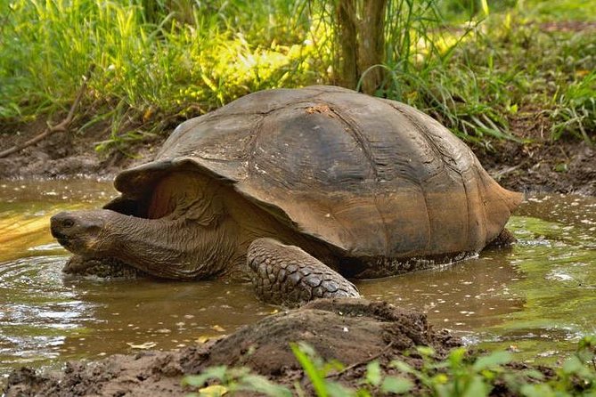 4 Days Galápagos - Total Experience Tour - Pickup and Meeting Details
