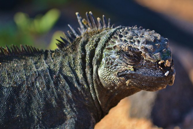 4 Days Galápagos - Total Experience Tour - Reviews and Ratings