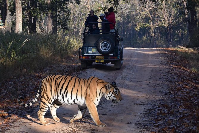 4 Days Golden Triangle Tour With Ranthambore From Delhi - Additional Fees