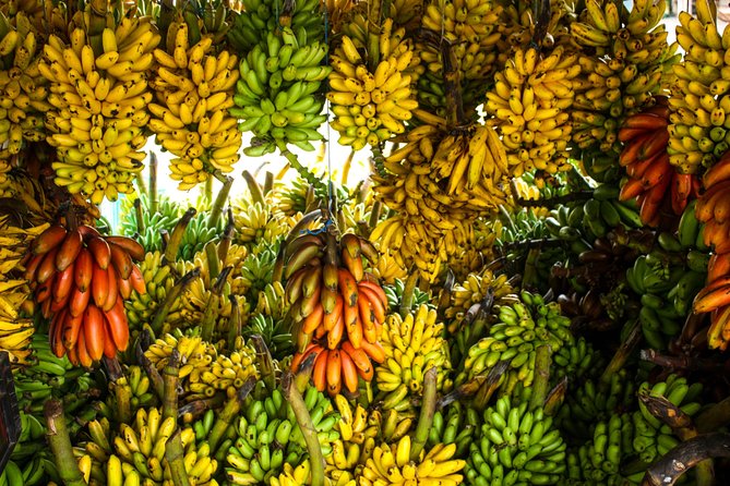 4 Days Guayaquil to Baños With Cajas Park, Cuenca and Chimborazo. - Dietary Considerations